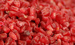 Proizvod od maline, d/z malina griz