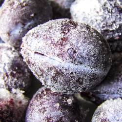 Rubushill otkup, prerada i izvoz sljive